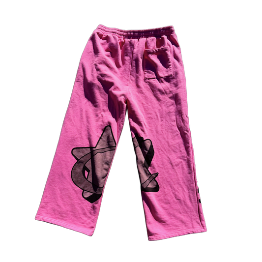 Visionary Pink Sweatpants