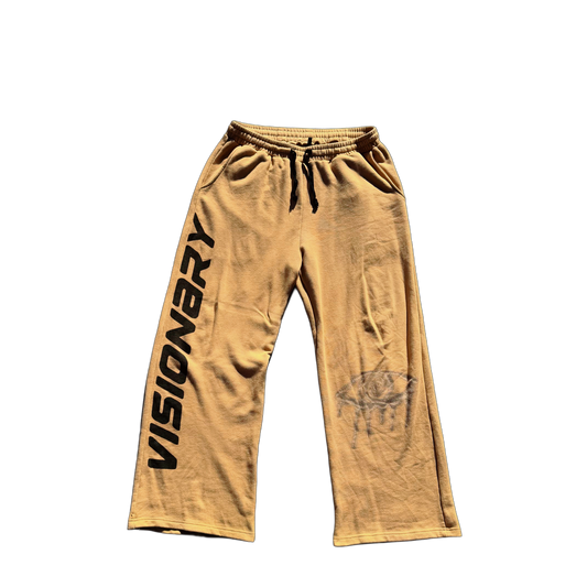 Visionary Brown Sweatpants